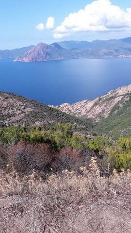 La Corse motoconcept